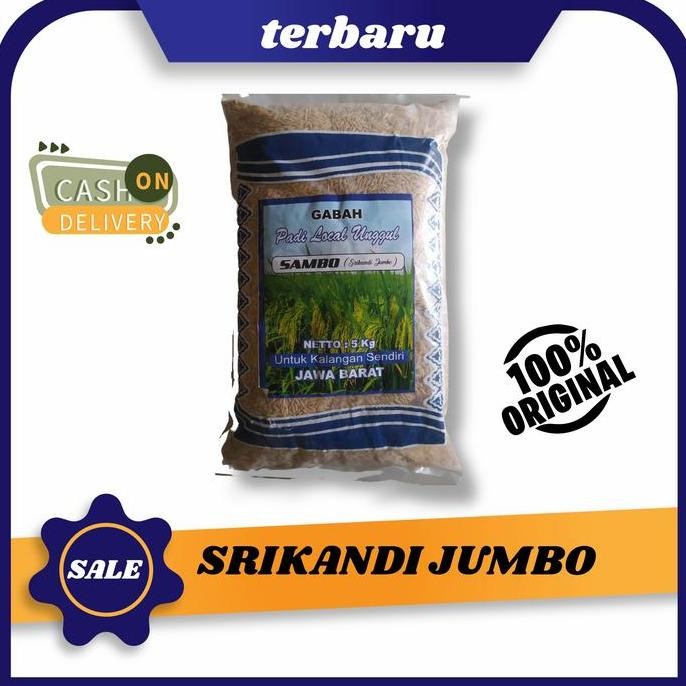 

Terlaris Benih Padi Unggul Terbaru Srikandi Jumbo/Sambo 5 Kg