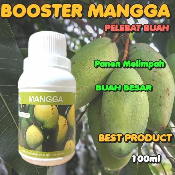 

Terlaris Pupuk Semprot/Cair Booster Mangga Organik Agar Cepat Berbuah Lebat