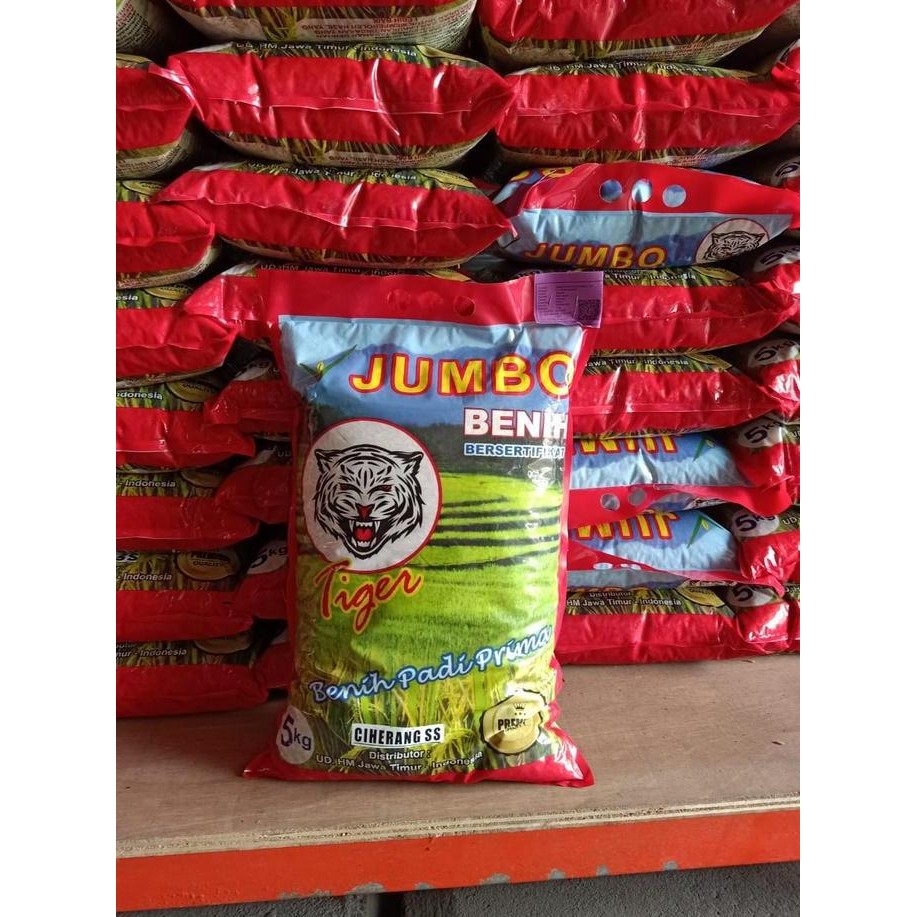 

Terlaris Benih Padi Ciherang Ss Jumbo Tiger 5 Kg