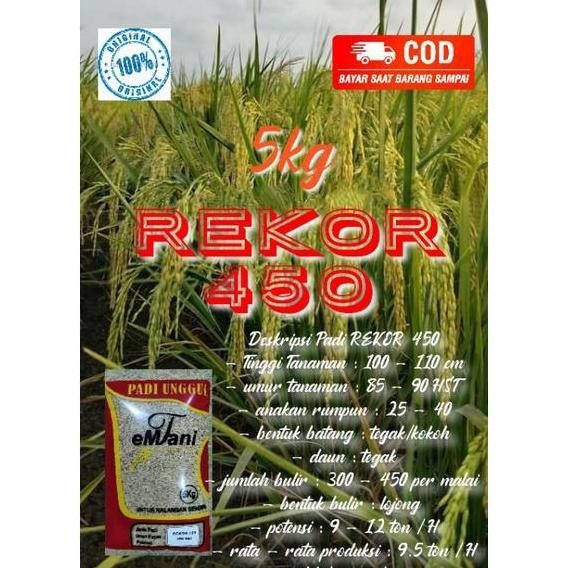 

Terlaris Benih Padi Rekor 450 5Kg