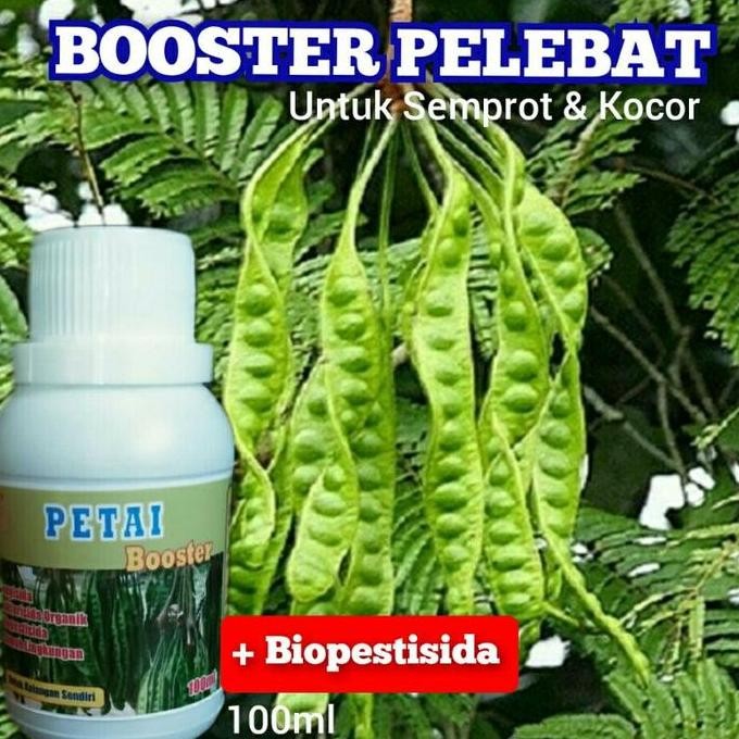 

Terlaris Pupuk Booster Petai Organik Perangsang Buah Serbuk Terbaik Ampuh Supaya Cepat Berbuah