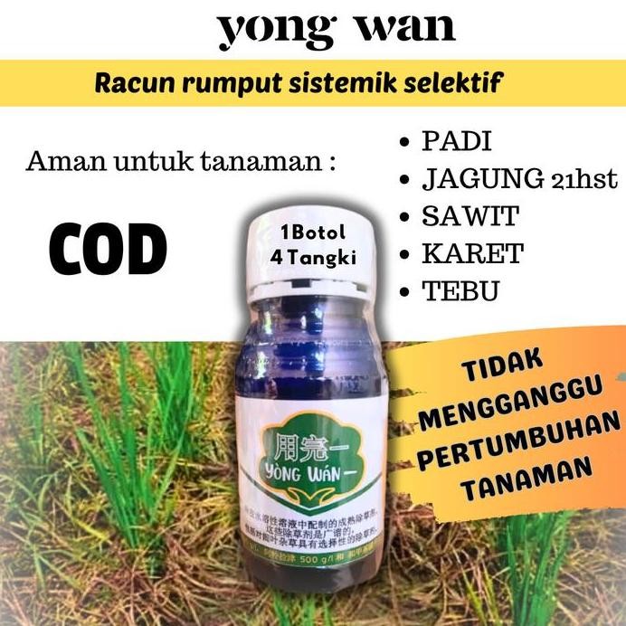 

Terlaris Yongwan 1 Herbisida Racun Rumput Sistemik Padi Karet Sawit Jagung Tebu