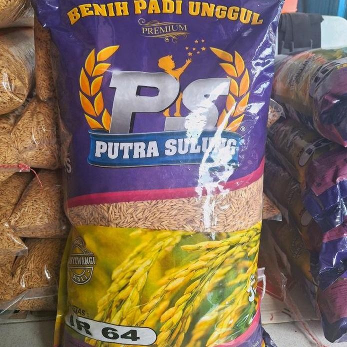 

Terlaris Benih Padi Unggul Ir 64 Putra Sulung-5Kg
