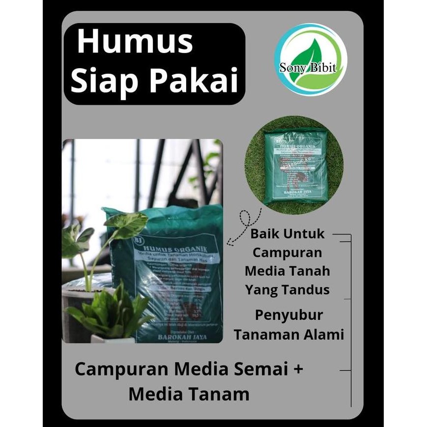 

Terlaris Humus Organik Tanaman Siap Pakai 1 Kg Pupuk Organik Penyubur Tanah Bunga Bibit Tumbuhan Pupuk