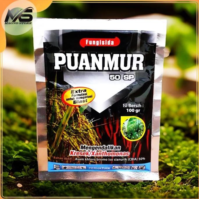 

Terlaris Puanmur 50 Sp - Fungisida Untuk Atasi Kresek & Blast Pada Padi & Horti - 100 Gram