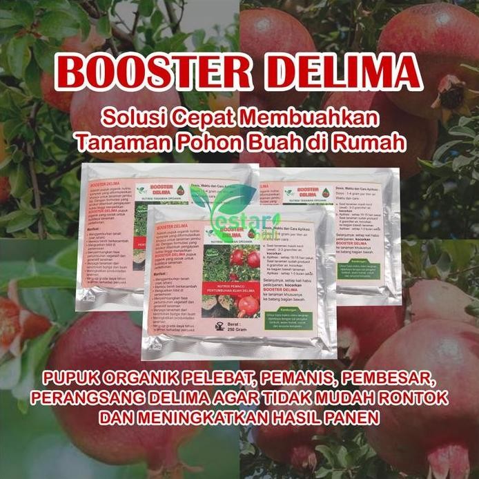 

Terlaris Pupuk Organik Booster Delima Agar Cepat Berbuah