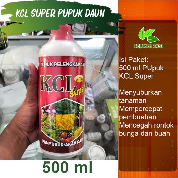 

Terlaris Kcl Super 500 Ml Pupuk Kcl Cair Pupuk Penambah Bobot Padi