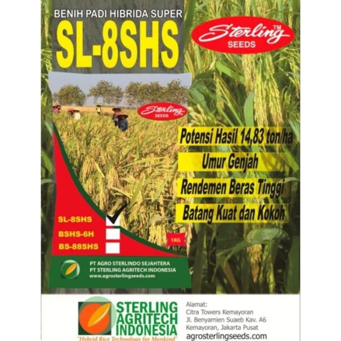 

Terlaris T0M2-Benih Padi Hibrida Sl8 Shs Sterling 1Kg Exp 18 Agustus 2024 Ber