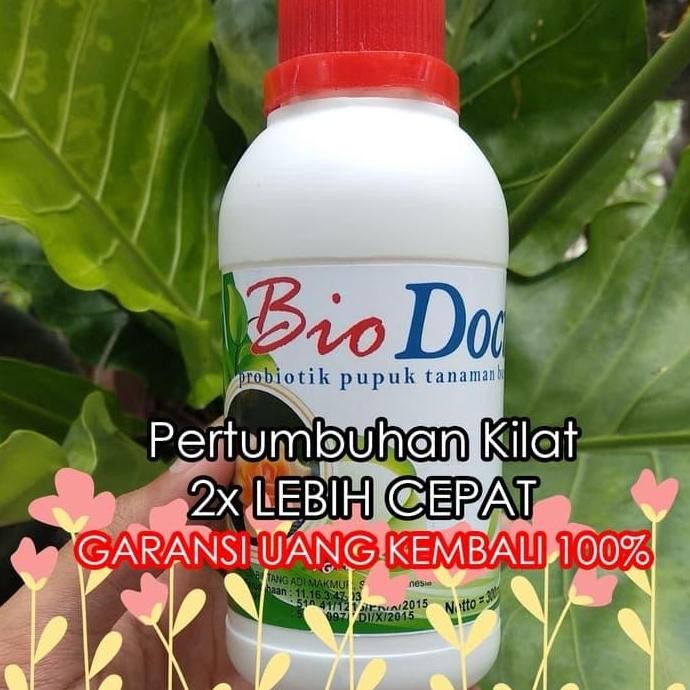 

Terlaris [ 2X Lebih Cepat Berbunga ] Pupuk Bunga Organik !!