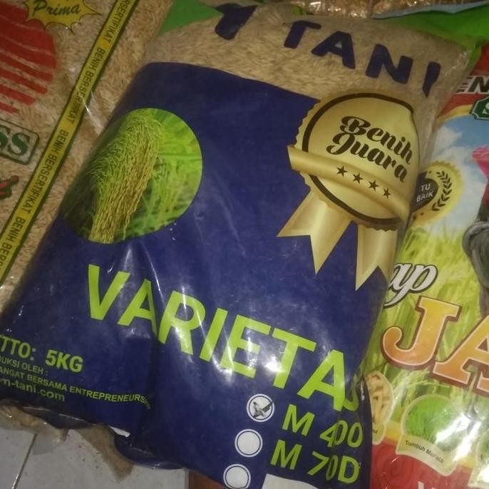 

Terlaris Benih Padi M 70 5Kg