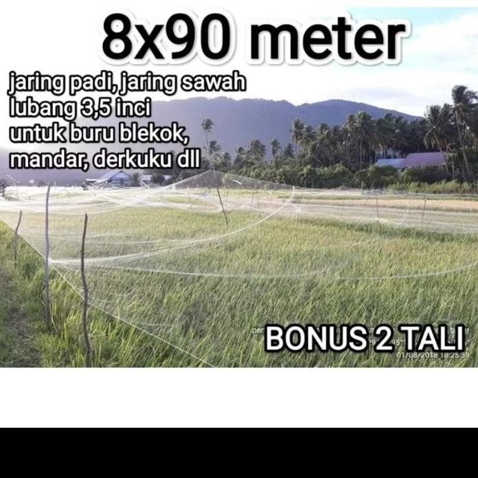 

Terlaris Jaring Burung, Jaring Padi Lebat 8 Meter Panjang 90 Meter Bonus 2 Tali Lubang 3,5 Inci