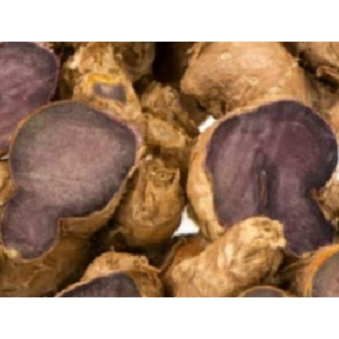 

Terlaris Promo Bibit Jahe Hitam, Beli 1 Bibit Dapat 5 Ezmrth 3218Hu