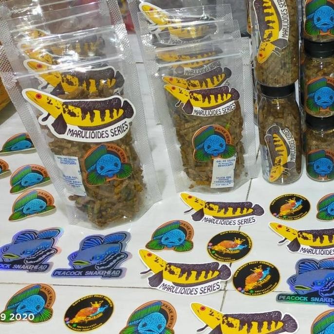 Terlaris Makanan Ikan Channa Pelet Jahat Fajar Arief Pakan Pellet Chana Blue