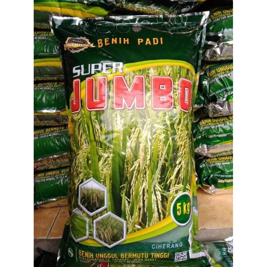 

Terlaris Benih Padi Ciherang Jumbo