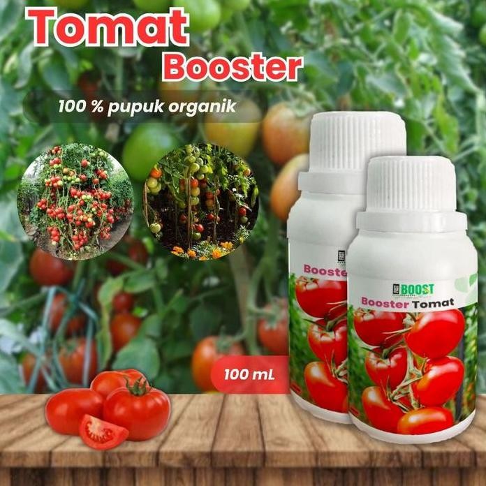 

Terlaris Pupuk Organik Cair Tanaman Tomat 100Ml Pemacu Tumbuh Dan Buah Tomat Alami - Bunga - Daun - Kalium
