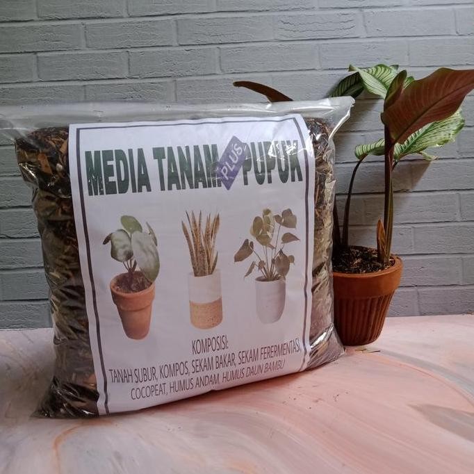 

Terlaris 5Kg Media Tanam Plus Pupuk Full Organik Untuk Semua Jenis Tanaman