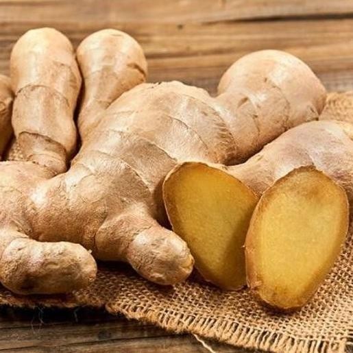 

Terlaris Victory Seed Umbi Bibit Jahe Badak (Isi 1000 Gram)