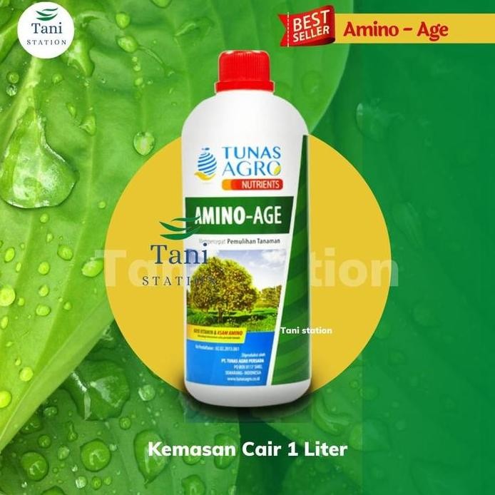 

Terlaris Promo Pupuk Organik Cair Amino Age Nutrisintanaman Stock