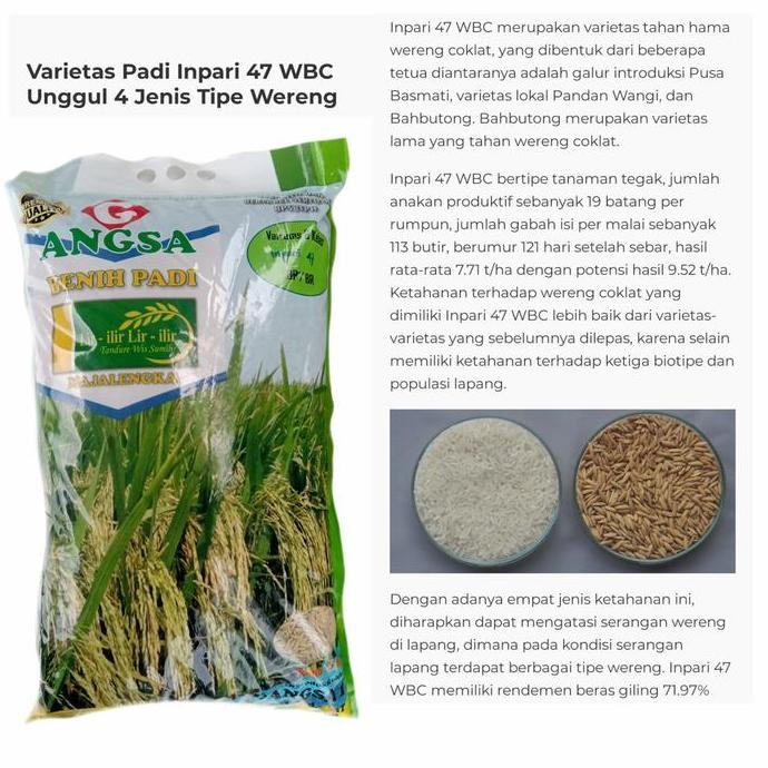 

Terlaris Benih Padi Inpari 47 Wbc