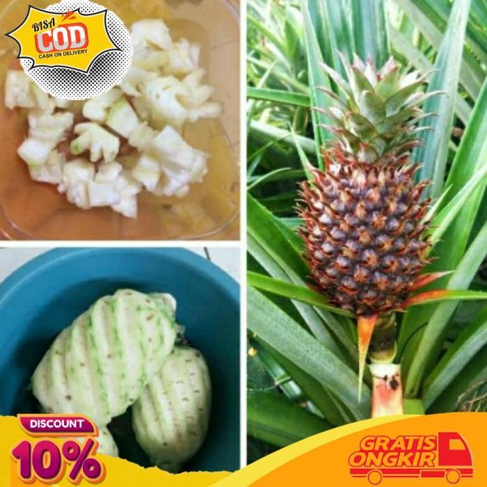 

Diskon Nanas Muda Segar 2 Pck Di Kupas 500G