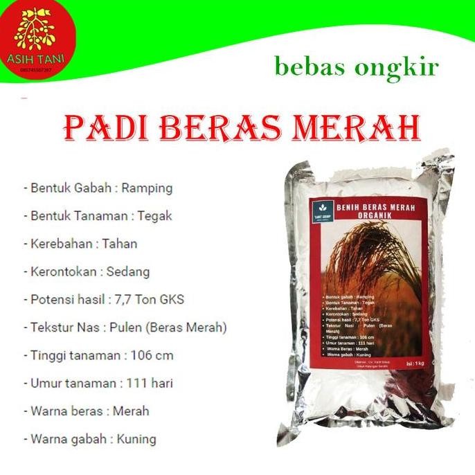 

Terlaris Benih Bibit Padi Beras Merah / Bibit Beras Merah Kemasan 1Kg