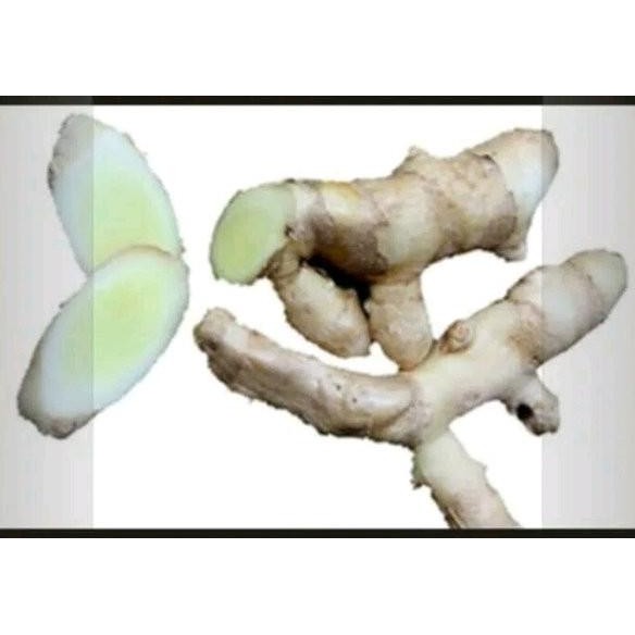 

Terlaris Promo Kunyit Temu Putih 1Kg Organik Non Pupuk Kimia Diskon