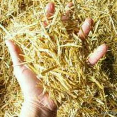 

Terlaris Jerami Padi Kering Isian Packaging Potongan Jarami 500Gram