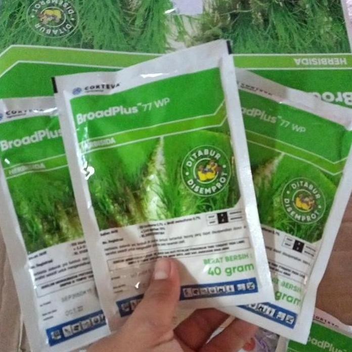 

Terlaris Obat Pembasmi Herbisida Rumput Dan Gulma Pada Tanaman Padi Ally Plus