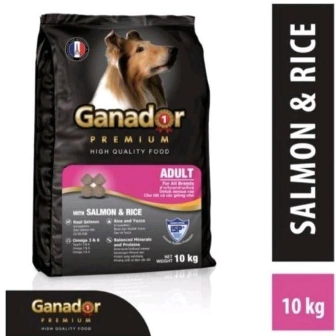 dogfood ganador salmon 10 kg