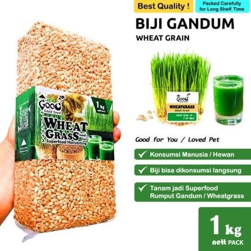 

Terlaris Best Goodseed - Biji Gandum Benih Wheatgrass Superfood Rumput Kucing 1 Kg