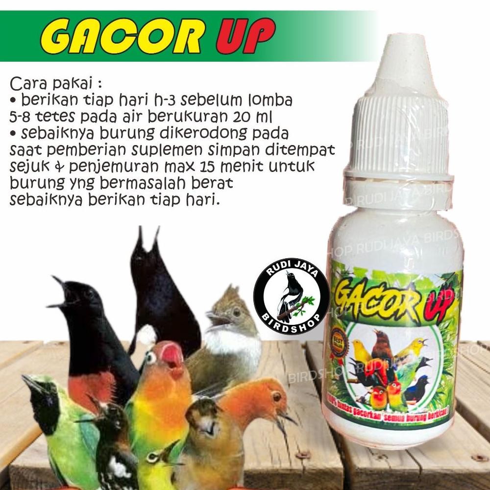 Murah Meriah Dg-4 Super Gacor Up Bmw Vitamin Obat Doping Penggacor Instan Burung  Murai Kacer Kenari