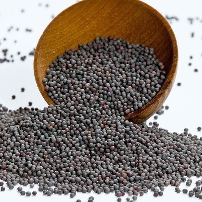 

] Black Mustard Seeds 100gram / biji sawi hitam