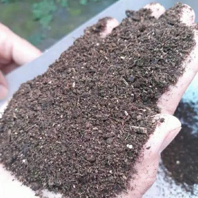 

Terlaris Pupuk Kandang Kambing Fermentasi 500 Gram