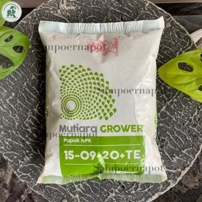 

Terlaris Pupuk Meroke Npk Mutiara Grower 15-09-20+Te Kemasan Pabrik 1 Kg