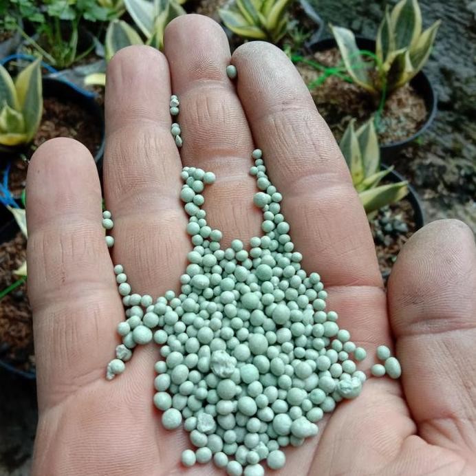 

Terlaris Pupuk Npk Blower Jual Per 1/2 Kg