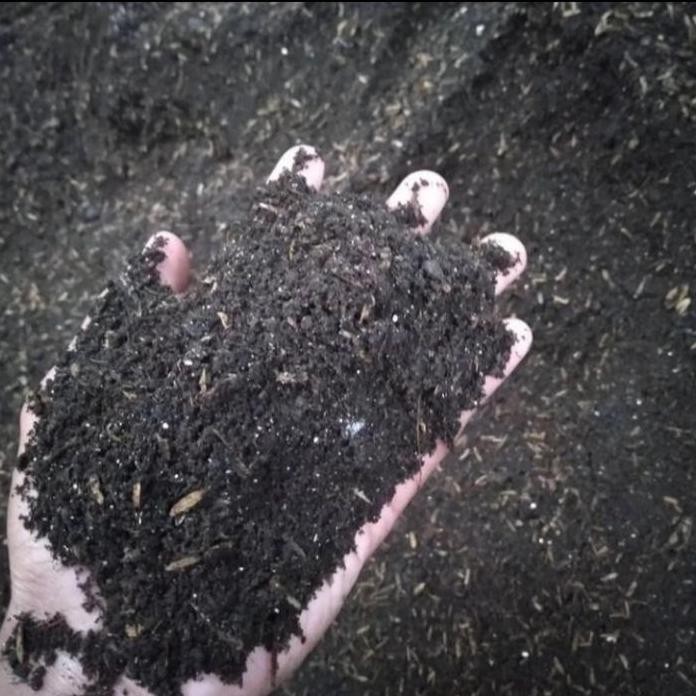 

Terlaris Pupuk Kandang Kotoran Sapi Untuk Media Tanam Per 1 Kg Original