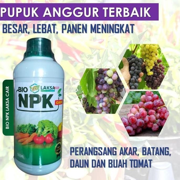 

Terlaris (Bayar Di Tempat) Pupuk Kalsium Cair Buah Npk Laksa Grow Anggur - Pupuk Pelebat Anggur Paling Bagus, Pupuk Cair Semprot Anggur Sehat Dan Banyak Buah - Obat Pelebat Anggur Sehat Tanpa Rontok - 100% Original Pupuk Pelebat Anggur Terlaris Isi 500 Ml