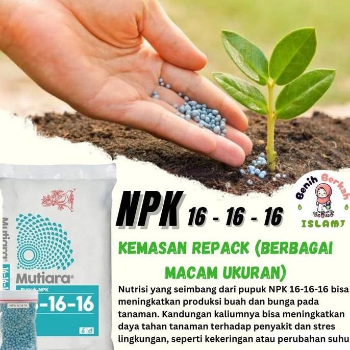 

Terlaris Pupuk Pelebat Buah Daun Dan Akar Npk 161616 Kompositum Pupuk Indonesia Pupuk Npk Npk 16 Sultan