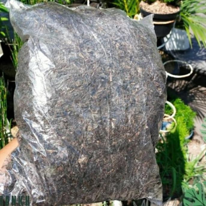 

Terlaris Media Humus /Kombinasi Sekam,Daun Bambu Kering Dan Pupuk Kandang