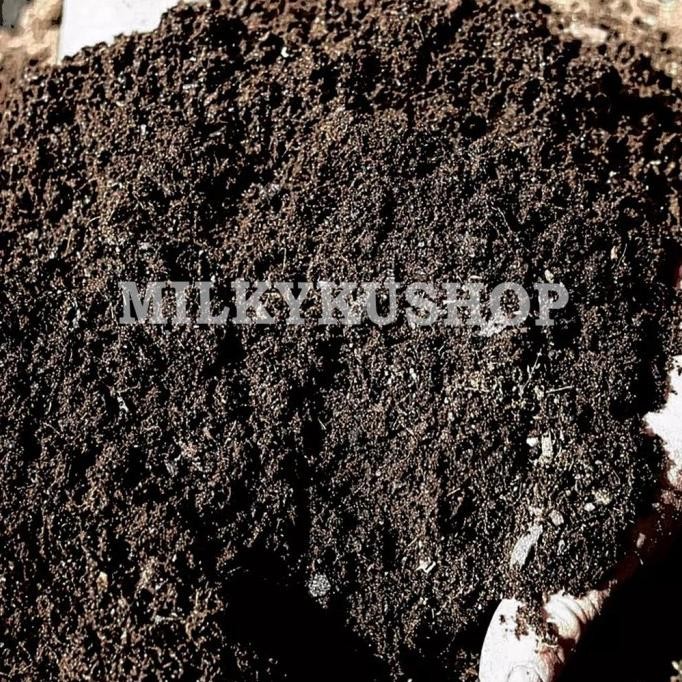 

Terlaris Um(1) Pupuk Kandang Kambing Biru Organik Via