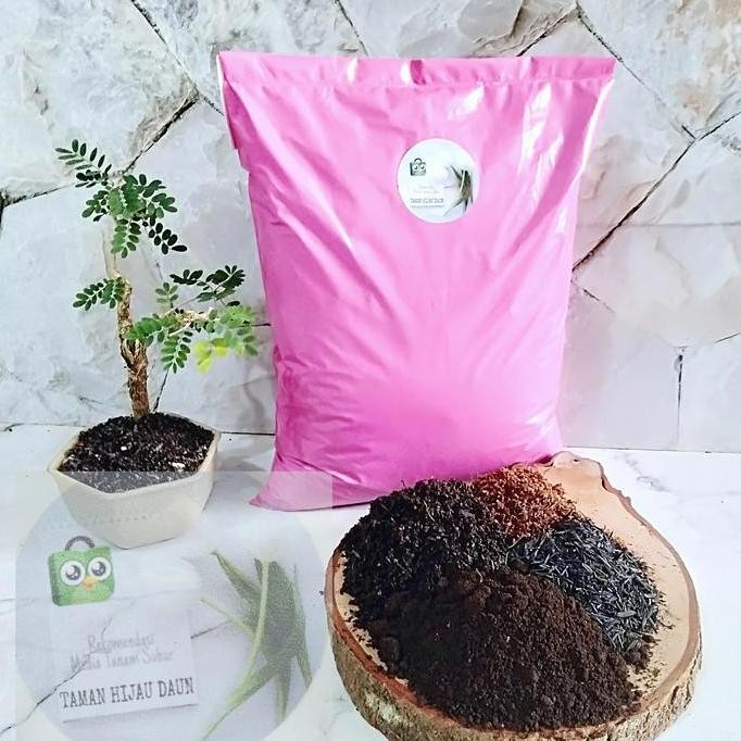 

Terlaris Paket Media Tanam Kompos Tanah Lembang Dan Pupuk Kandang Siap Pakai