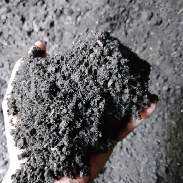 

Terlaris Pupuk Kandang Sapi Berat 1 Kg Tanaman