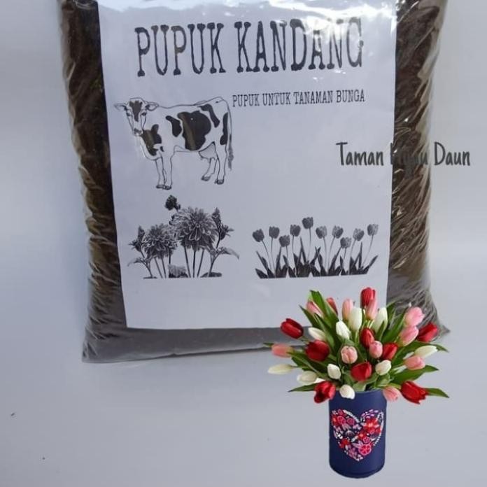 

Terlaris Pupuk Kandang Untuk Jenis Tanaman Hias Dan Tanaman Bunga