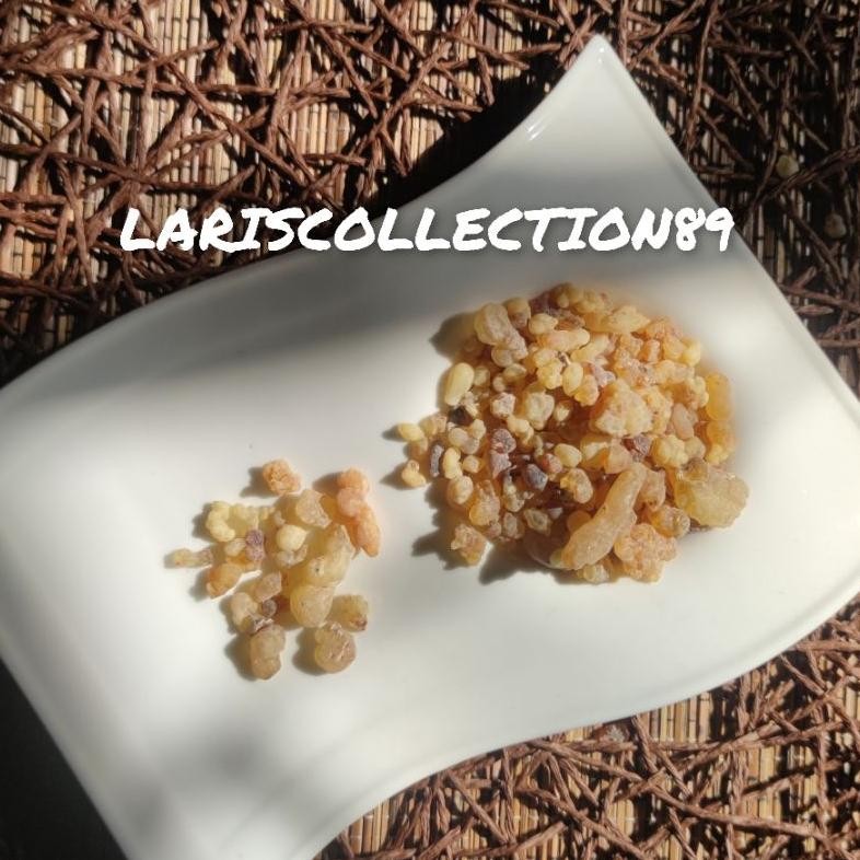 BISACOD LUBAN OMAN ORIGINAL / KEMENYAN ARAB / LUBAN DZAKAR qw-7