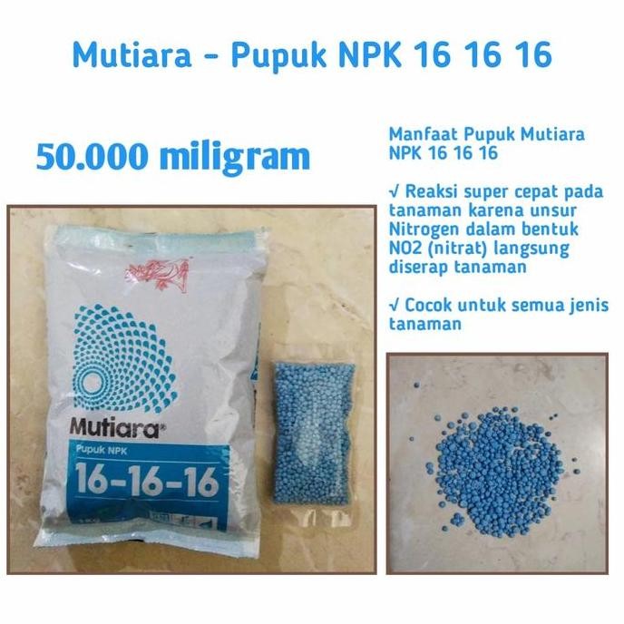 

Terlaris Pupuk Npk 16 16 16 Mutiara Original 50 Gram Pupuk Semua Jenis Tanaman