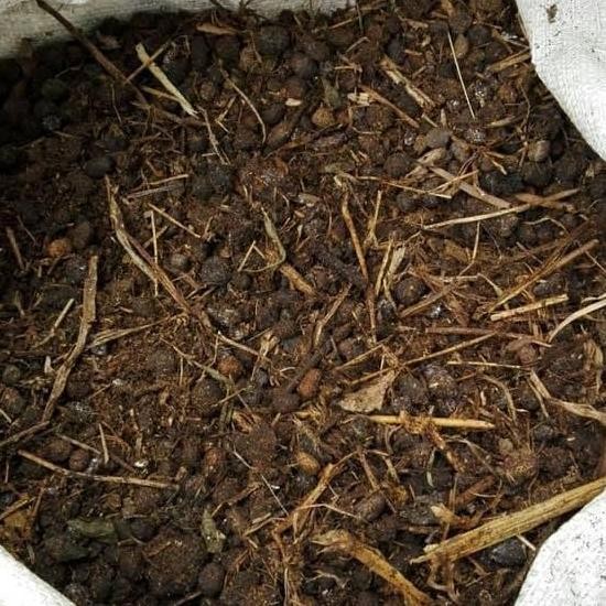 

Terlaris Pupuk Kandang Kambing Media Tanam