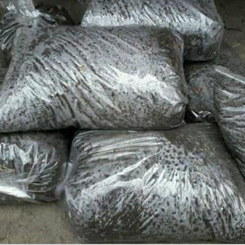 

Terlaris Pupuk Kandang