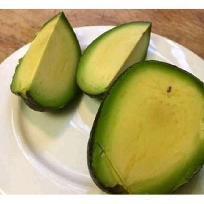 BARANG SUPER POHON bibit tanaman buah apukat tanpa biji okulasi pohon di