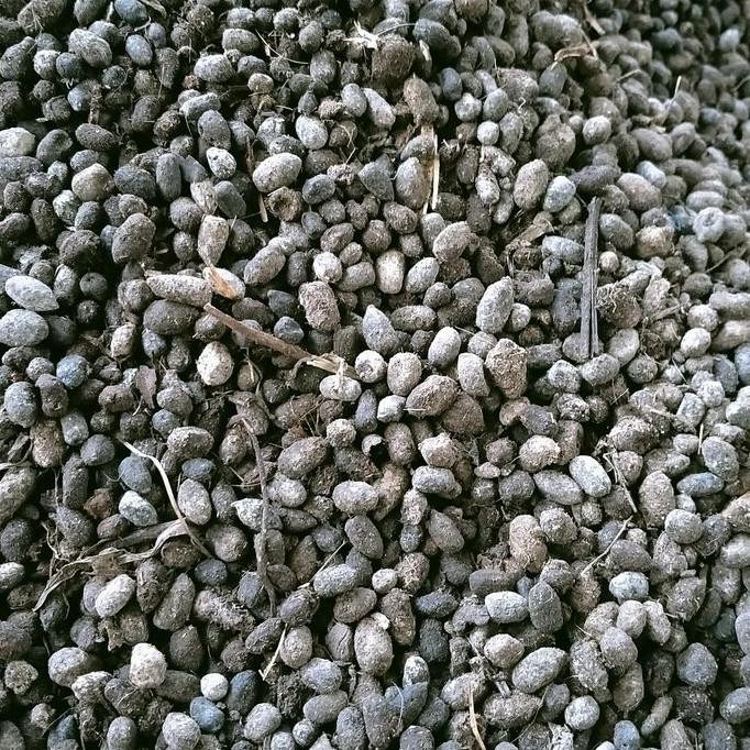 

Terlaris Media Tanam Pupuk Kandang Kotoran Kambing 1Kg