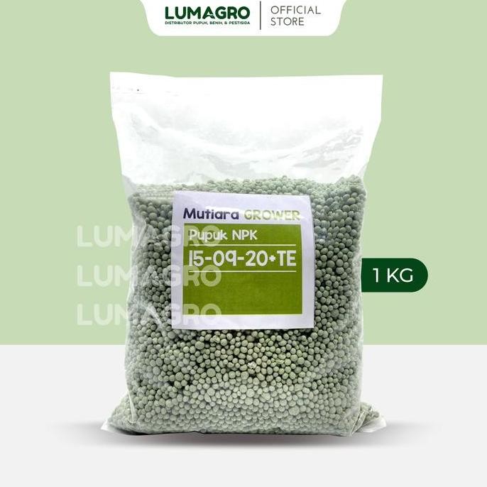 

Terlaris Pupuk Npk Mutiara Grower 1Kg Repack Memaksimalkan Produktivitas Tanaman